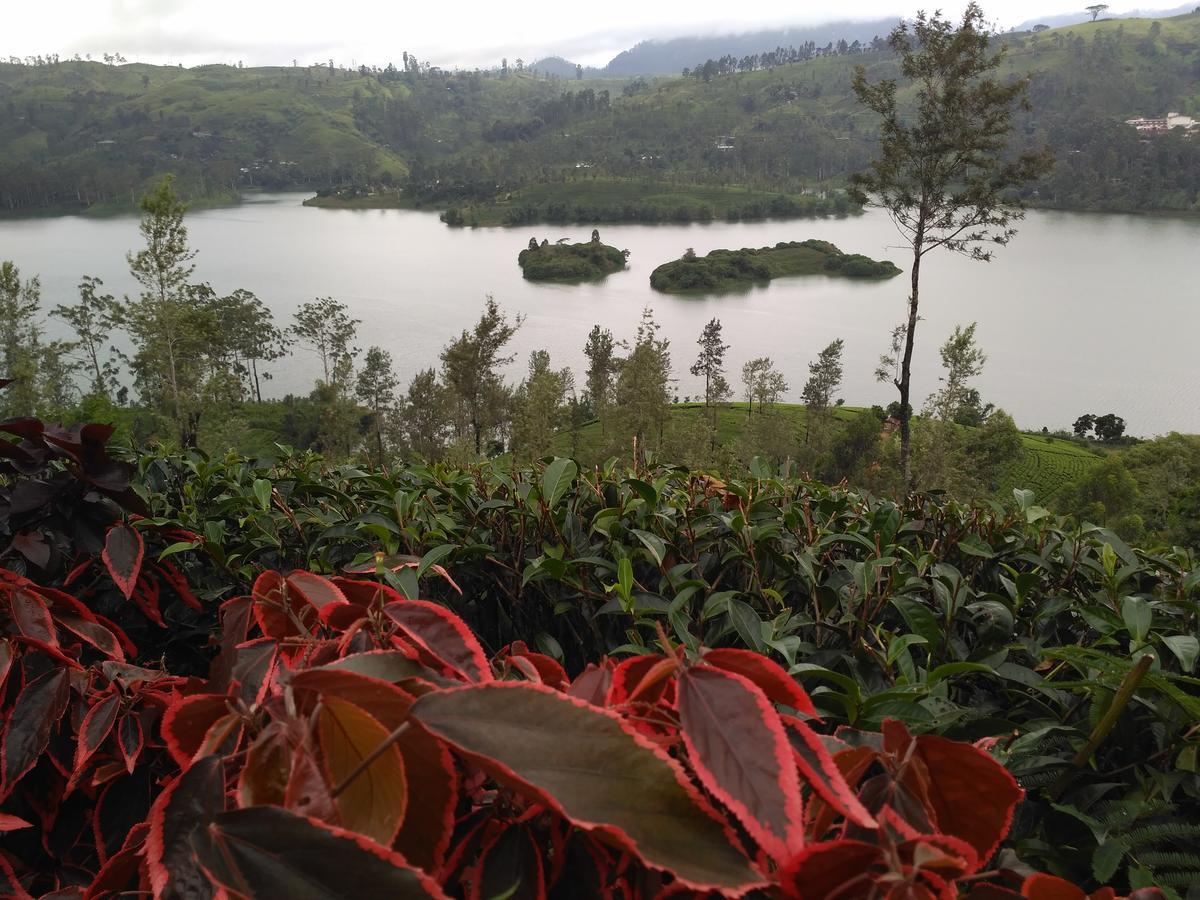 Dam House Hotell Maskeliya Eksteriør bilde